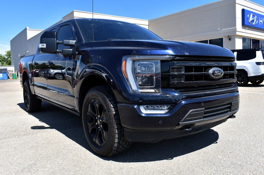 2022 Ford F-150 Platinum